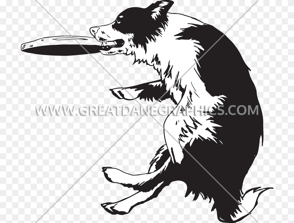 Dogs Playing Clipart Border Collie Frisbee Clipart, Toy, Animal, Dinosaur, Reptile Free Png