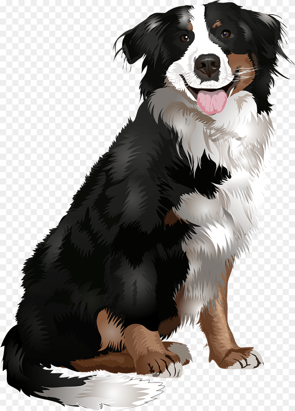 Dogs Vector Animal Bernese Mountain Dog Vector, Canine, Mammal, Pet, Bird Free Png Download