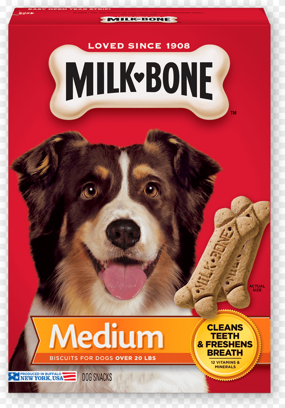 Dogs Vector Dog Bone Milk Bone Dog Biscuits, Advertisement, Poster, Animal, Canine Png Image