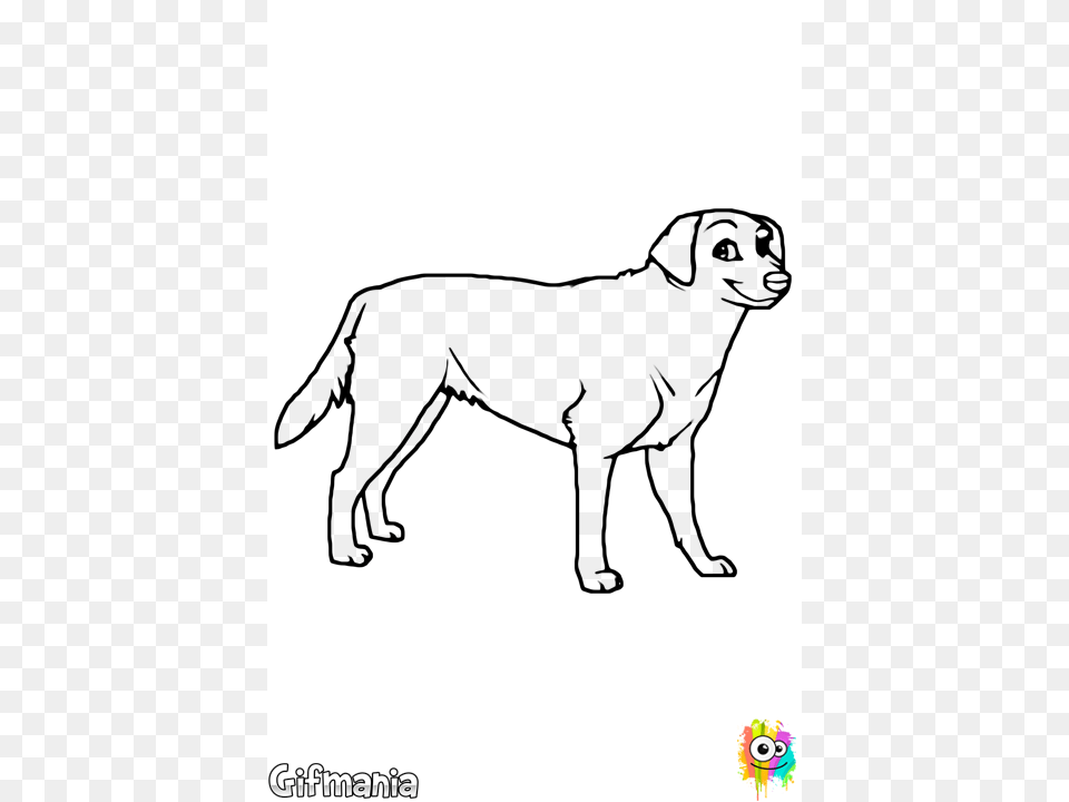 Dogs Vector Labrador Desenho Labrador Preto, Silhouette, Animal, Canine, Dog Png Image