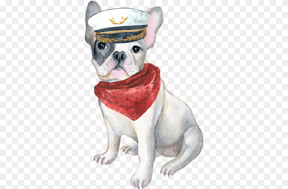 Dogs With Hats Artwork, Animal, Bulldog, Canine, Dog Free Transparent Png