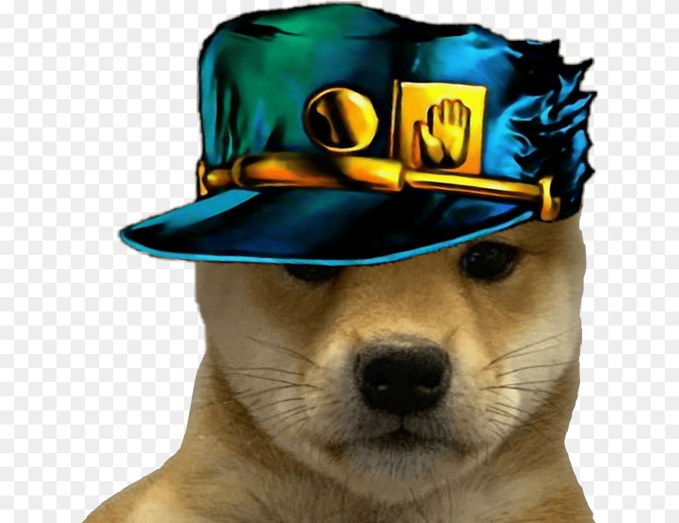 Dogwifhat Jotaro Jojo Sticker By Guy Pancake Doge, Baseball Cap, Cap, Clothing, Hat Free Png