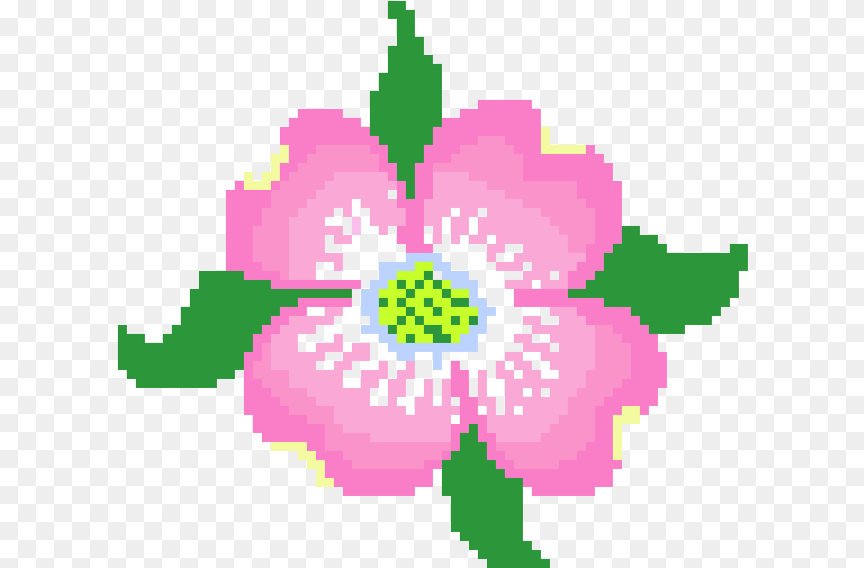 Dogwood Blossom Pixel Art Maker Illustration, Anemone, Flower, Pattern, Plant Free Png Download