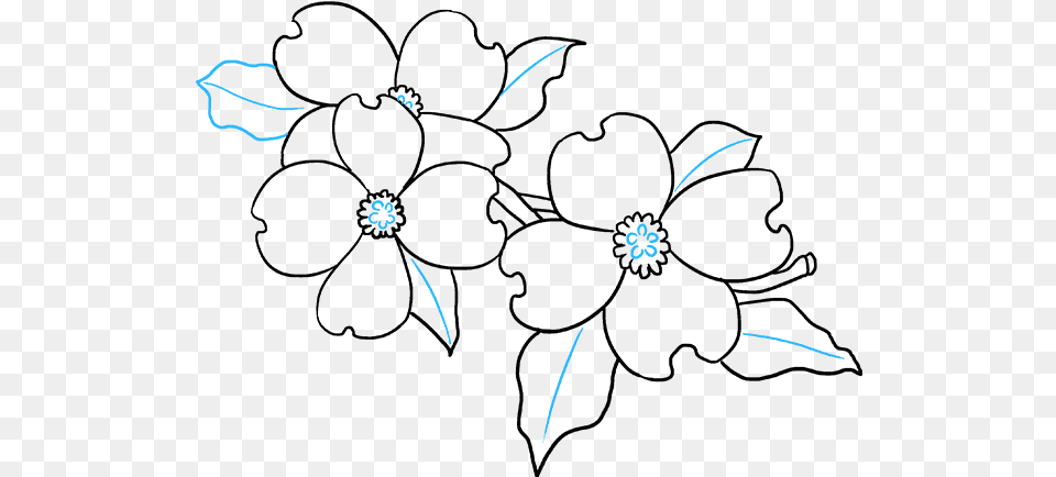 Dogwood Flower Drawing Easy, Outdoors, Nature Free Png