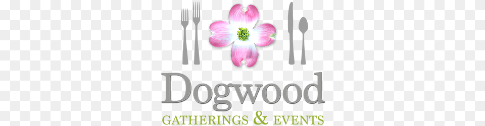 Dogwood Gatherings And Events Marcus Schossow Strings, Cutlery, Flower, Fork, Petal Png