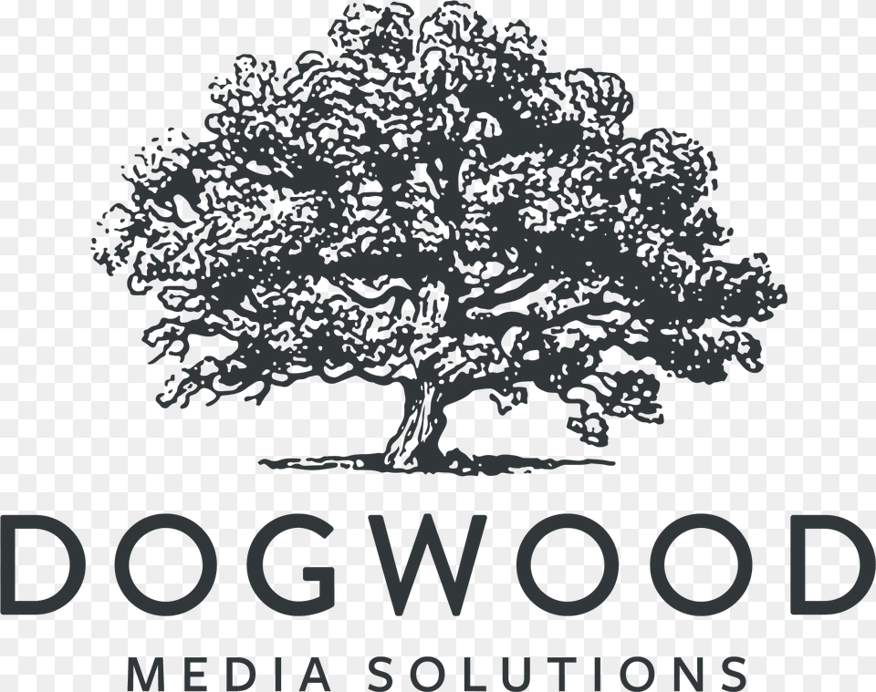 Dogwood Media Solutions, Oak, Plant, Tree, Art Free Png