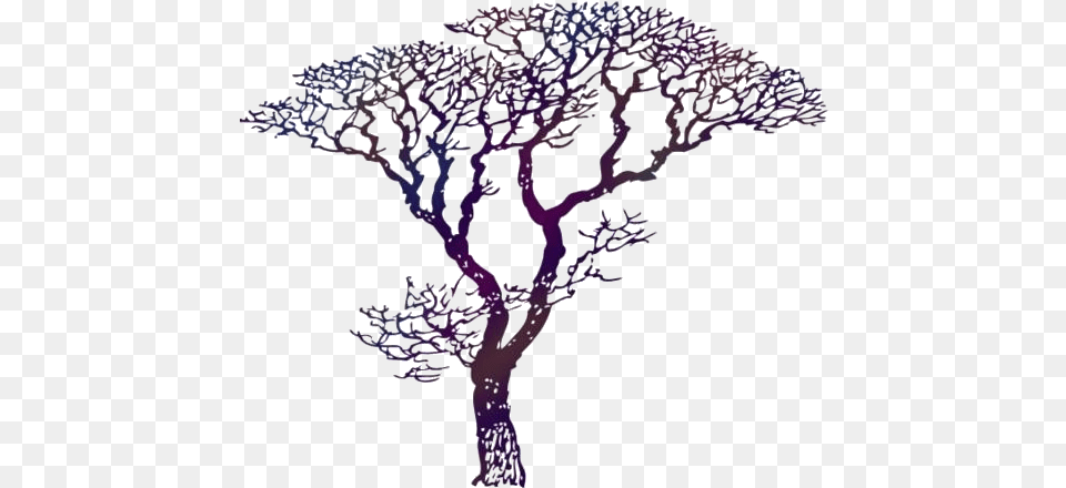 Dogwood Tree Images Draw A Dogwood Tree, Art, Purple, Drawing, Outdoors Png
