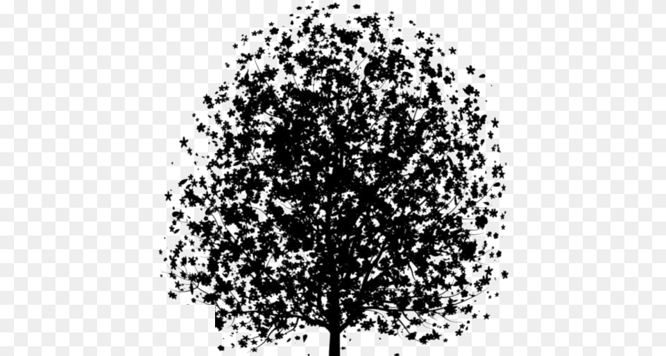 Dogwood Tree Images Cherry Family, Art, Plant, Drawing, Outdoors Free Transparent Png