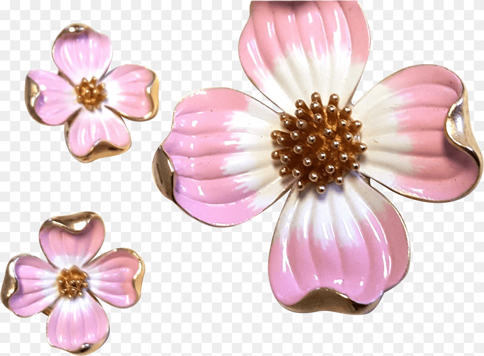 Dogwood Vector Watercolor Artificial Flower, Accessories, Jewelry, Dahlia, Plant Free Transparent Png