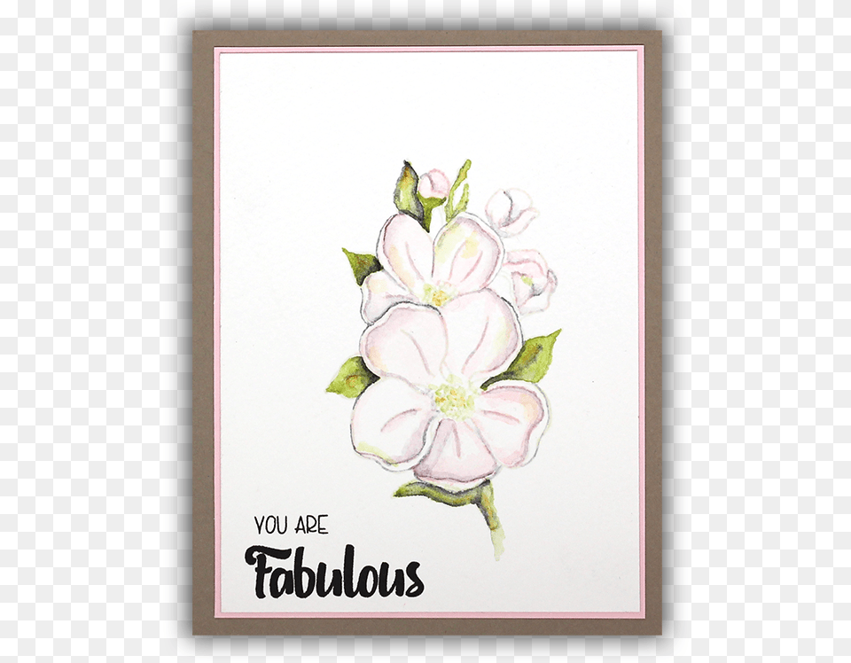 Dogwood Watercolor Card By Understand Blue Lily, Envelope, Greeting Card, Mail, Pattern Free Png