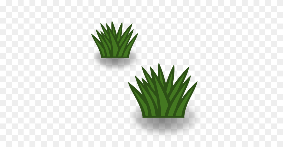 Dois Arbustos De Grama Vectores De, Green, Grass, Plant, Potted Plant Free Transparent Png