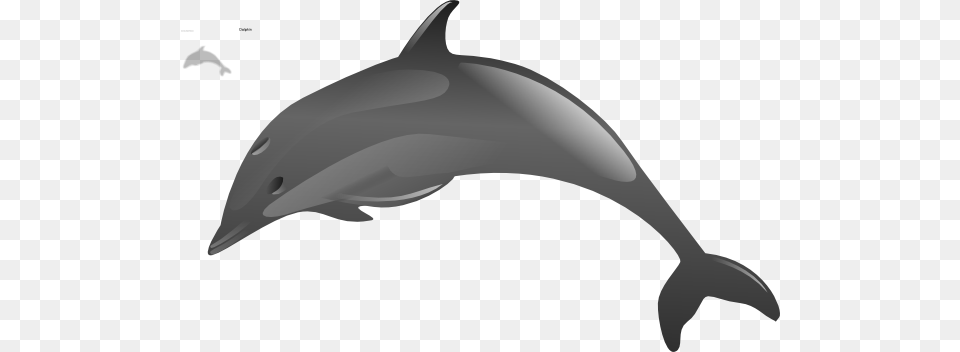 Dol Clip Art, Animal, Dolphin, Mammal, Sea Life Free Png