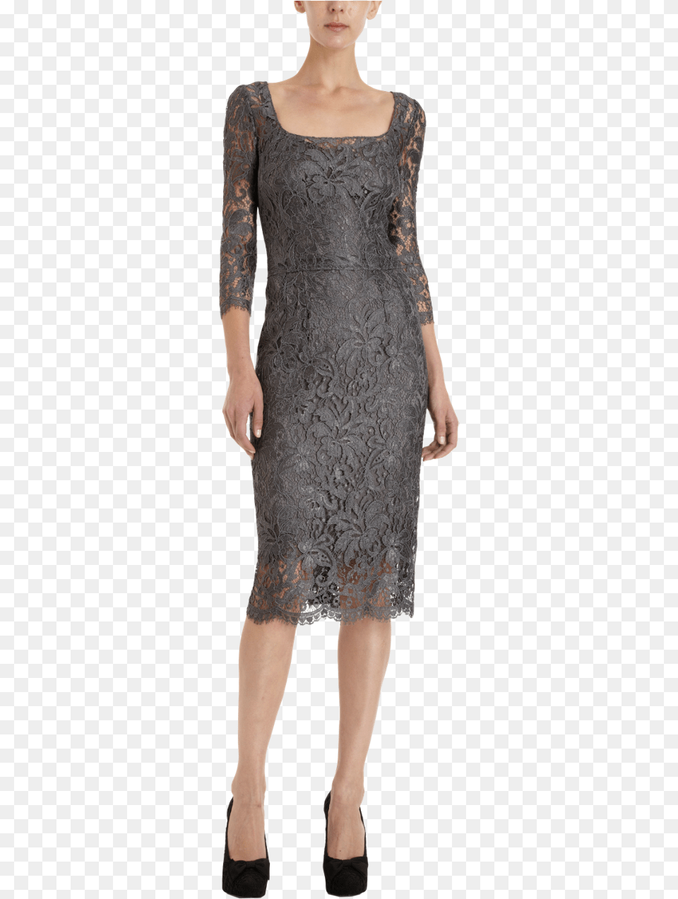 Dolce Amp Gabbana Fabuloustimeless Lace Overlay Sheath Dolce And Gabbana Grey Lace Dress, Adult, Sleeve, Person, Long Sleeve Png Image