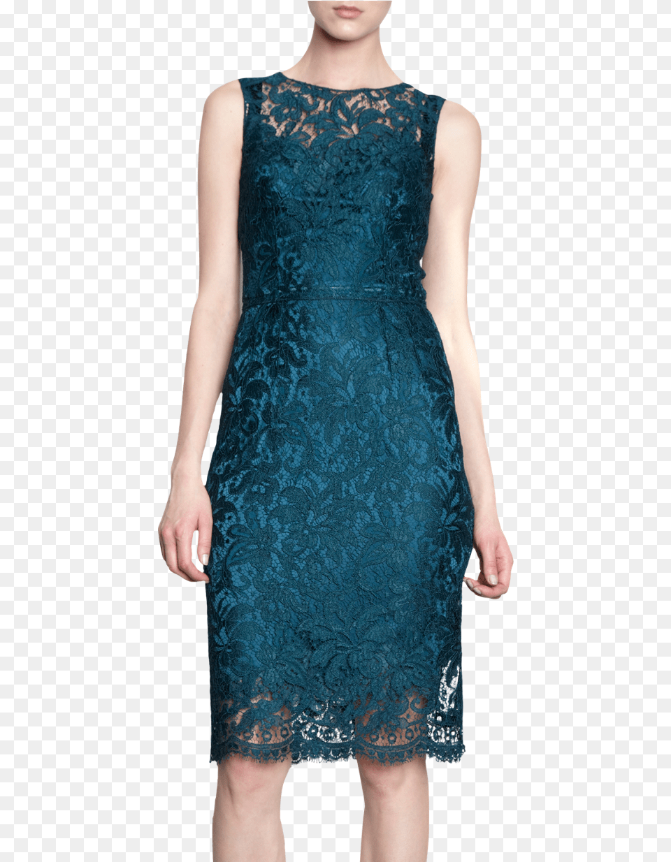 Dolce Amp Gabbana Lace Overlay Sheath Dress Gown, Adult, Person, Formal Wear, Female Png Image