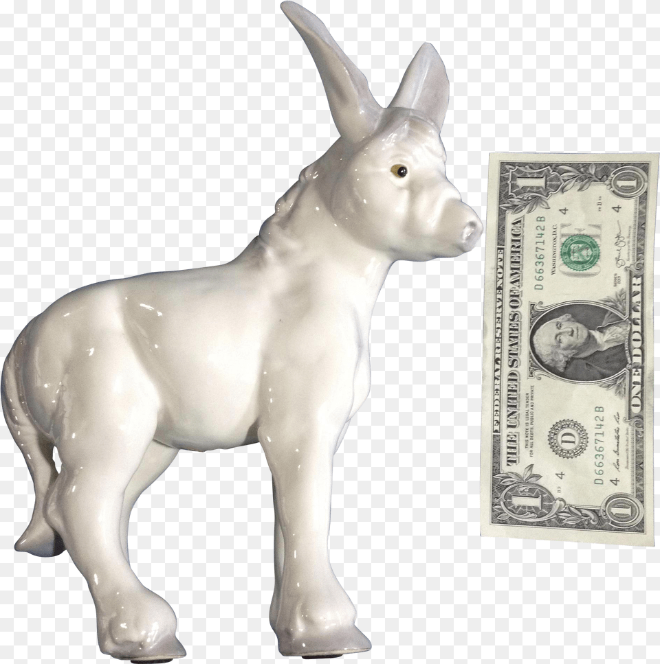 Dollar Bill, Baby, Person, Animal, Mammal Png Image
