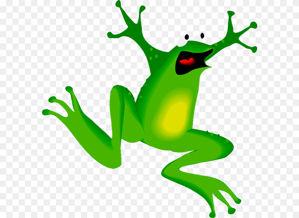 Dollar Clipart Green, Amphibian, Animal, Frog, Wildlife Png