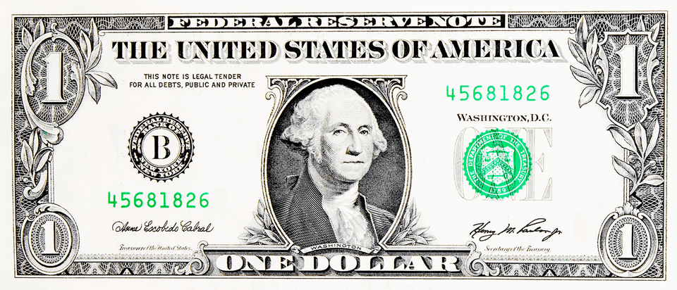 Dollar Image, Adult, Wedding, Person, Money Png