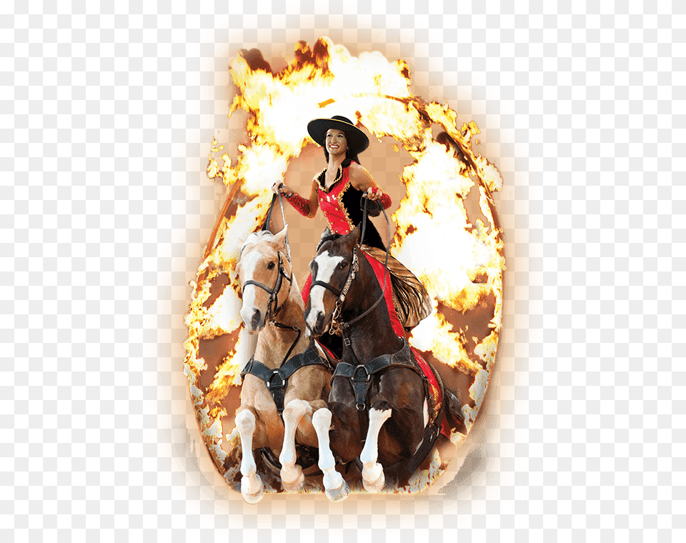 Dolly Parton39s Stampede Roman Rider Illustration, Adult, Person, Mammal, Horse Png