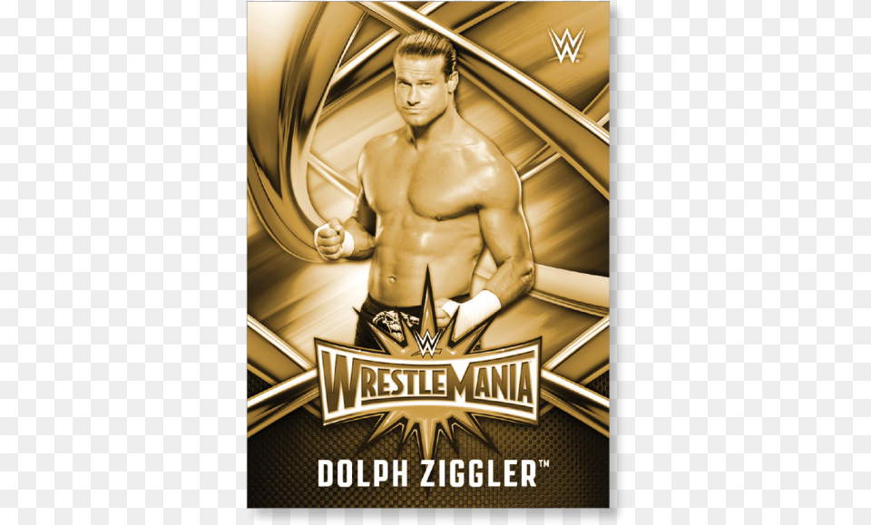 Dolph Ziggler 2017 Wwe Road To Wrestlemania Wrestlemania Magento, Adult, Male, Man, Person Png