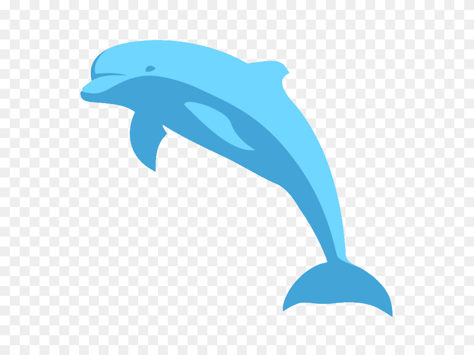 Dolphin, Animal, Mammal, Sea Life, Fish Free Png