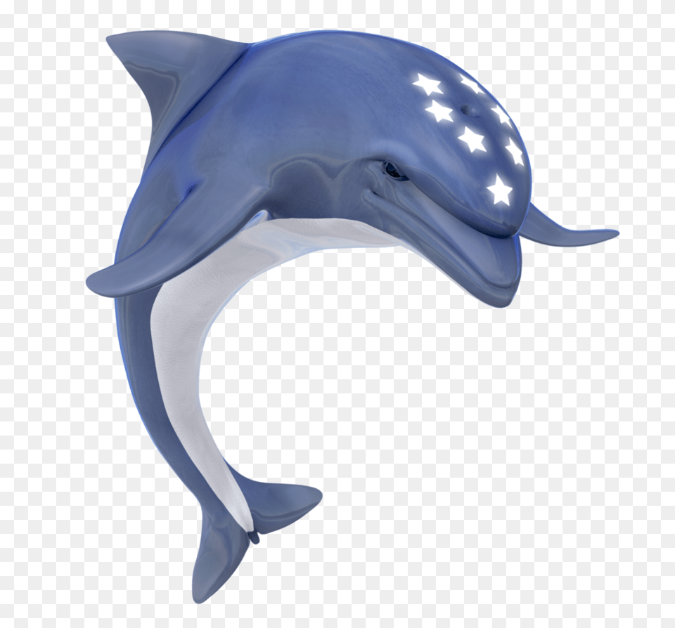 Dolphin, Animal, Mammal, Sea Life, Fish Free Png Download