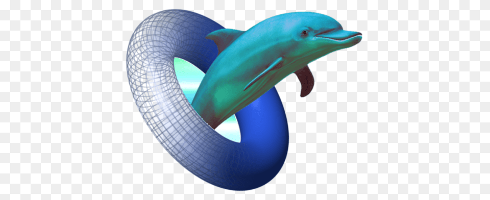 Dolphin, Animal, Mammal, Sea Life, Fish Free Png