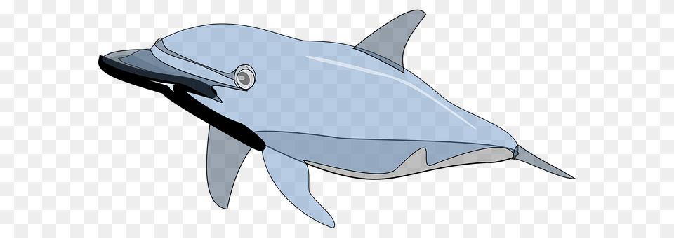 Dolphin Animal, Mammal, Sea Life, Fish Free Transparent Png