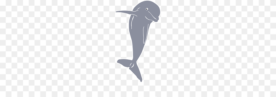 Dolphin Animal, Sea Life, Mammal, Smoke Pipe Png