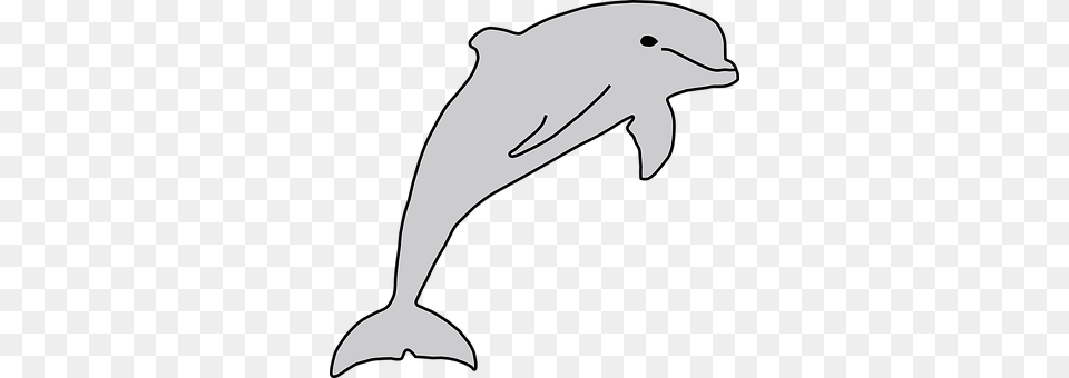 Dolphin Animal, Mammal, Sea Life, Person Free Png