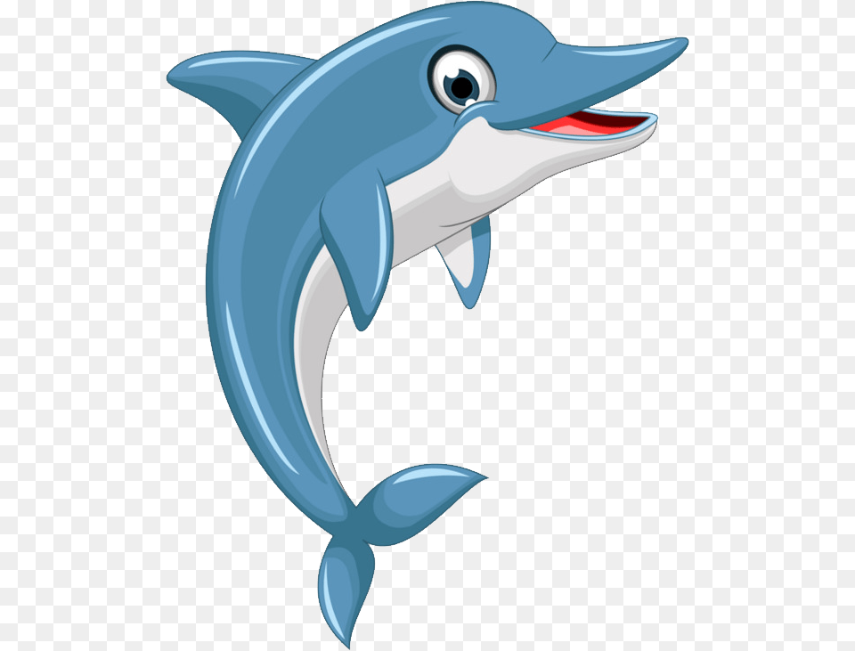 Dolphin, Animal, Mammal, Sea Life, Fish Free Png Download