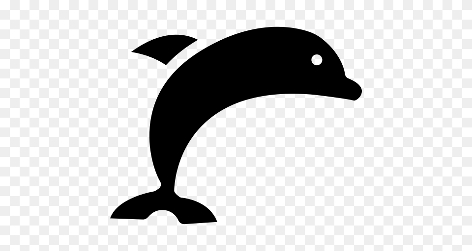Dolphin, Gray Free Png