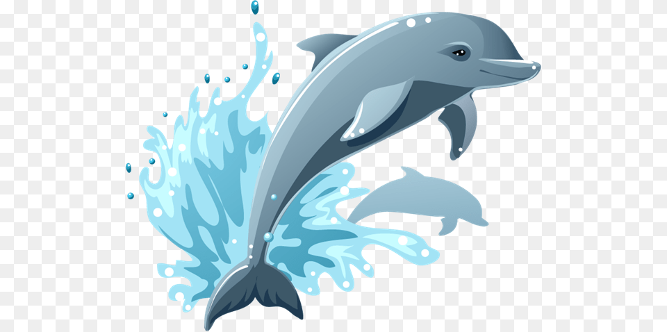 Dolphin, Animal, Mammal, Sea Life, Fish Free Transparent Png