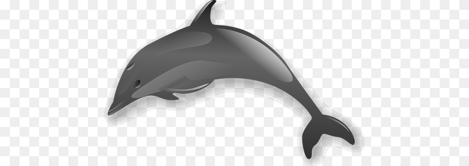 Dolphin Animal, Mammal, Sea Life, Appliance Free Png