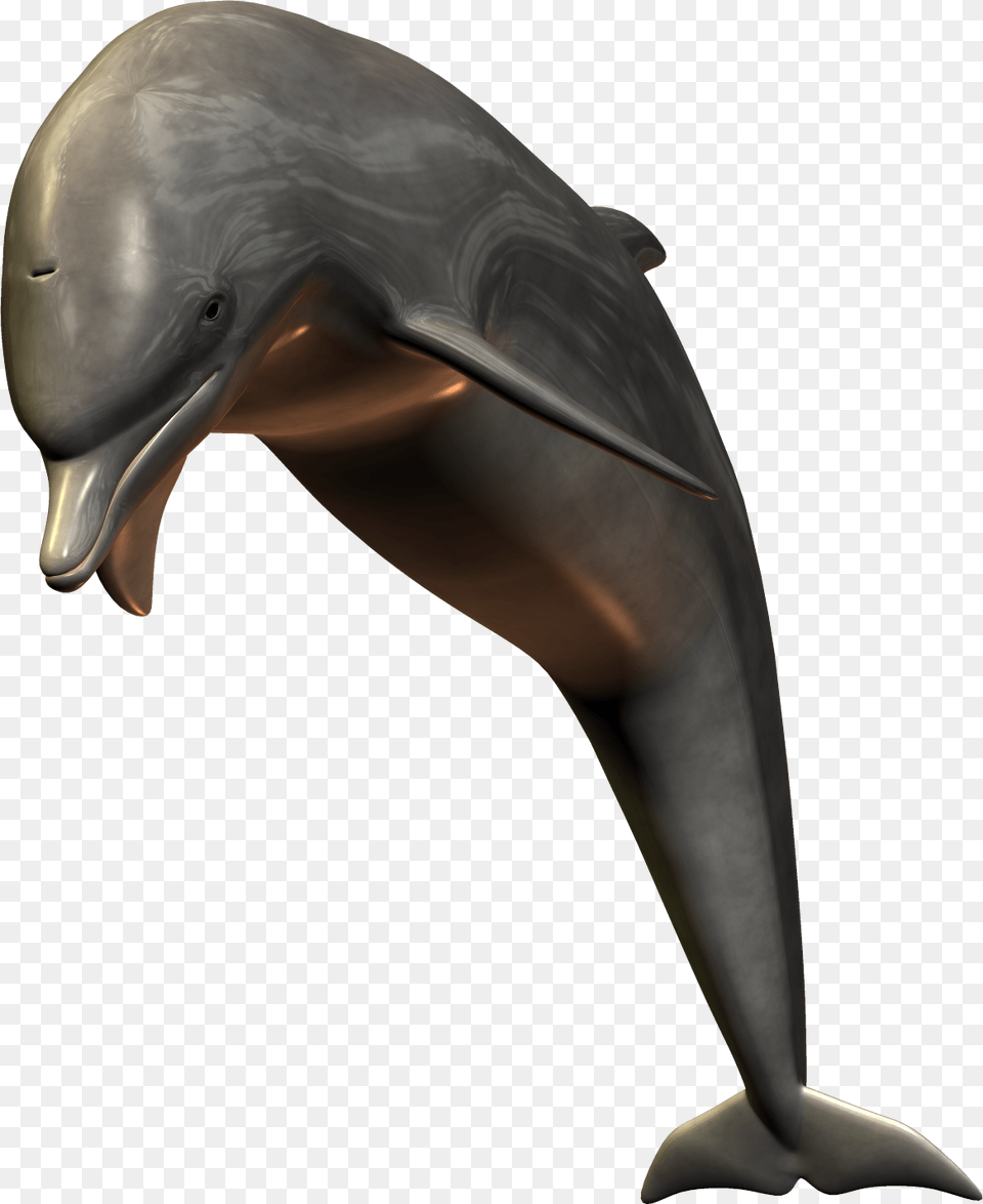 Dolphin, Animal, Mammal, Sea Life, Adult Free Png