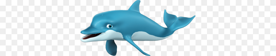 Dolphin, Animal, Mammal, Sea Life, Fish Free Png