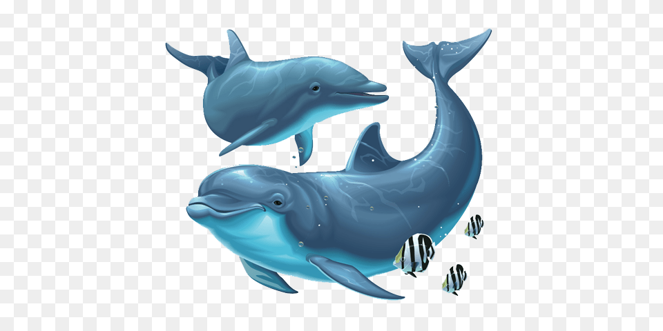 Dolphin, Animal, Mammal, Sea Life, Fish Png