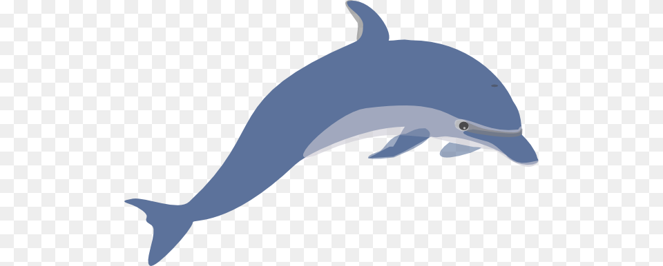 Dolphin 3 Clip Art Dolphin Clipart, Animal, Mammal, Sea Life, Fish Free Png Download