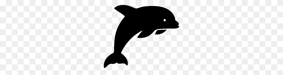 Dolphin, Gray Png