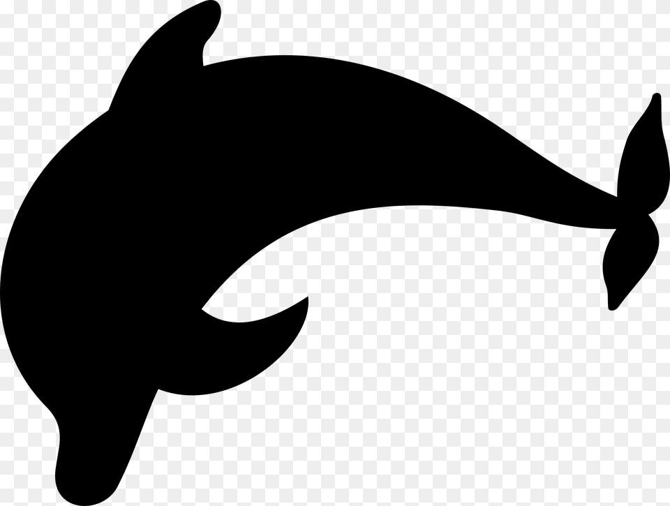 Dolphin, Gray Free Png Download