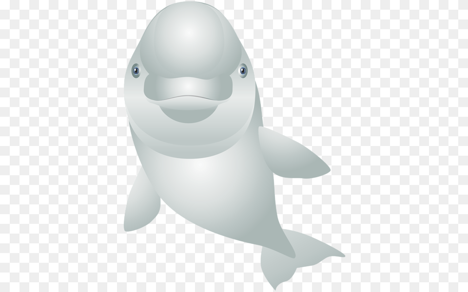 Dolphin, Animal, Sea Life, Mammal, Beluga Whale Free Transparent Png