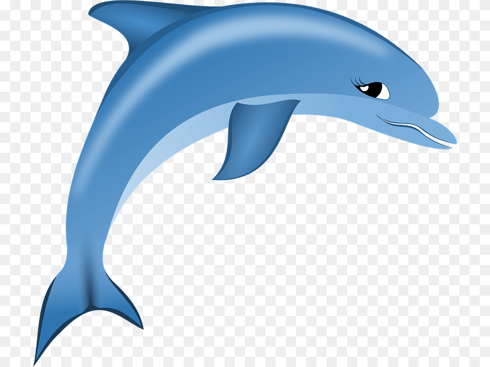 Dolphin, Animal, Mammal, Sea Life Free Png Download