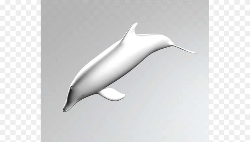 Dolphin 3ds Max Model Common Bottlenose Dolphin, Animal, Mammal, Sea Life, Appliance Free Png Download