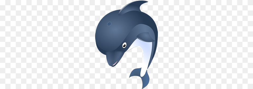 Dolphin Animal, Sea Life, Appliance, Blow Dryer Png