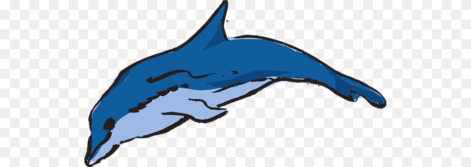 Dolphin Animal, Mammal, Sea Life, Person Png