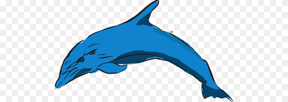 Dolphin Animal, Mammal, Sea Life, Person Png