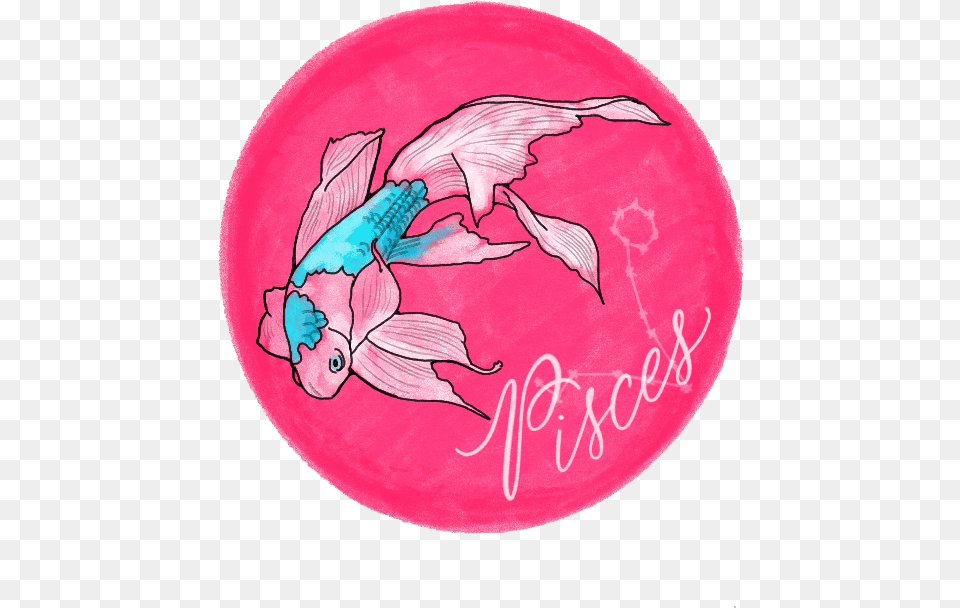 Dolphin, Toy, Home Decor, Frisbee, Disk Free Png