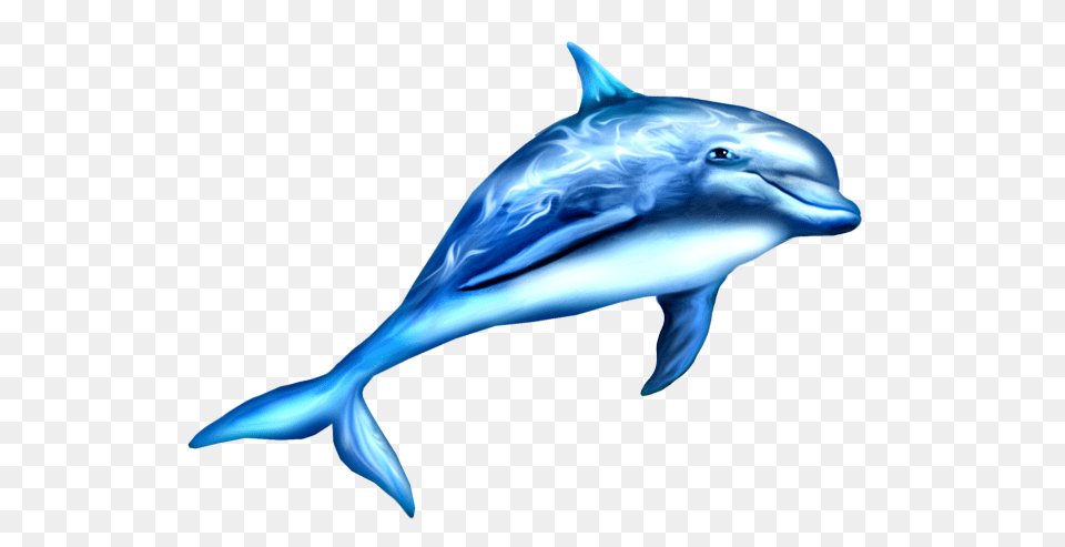 Dolphin, Animal, Mammal, Sea Life, Fish Png