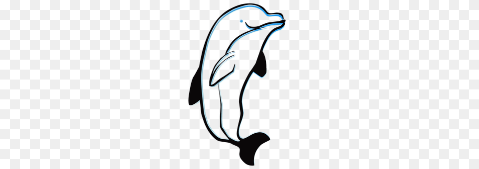 Dolphin Animal, Mammal, Sea Life, Smoke Pipe Free Png Download