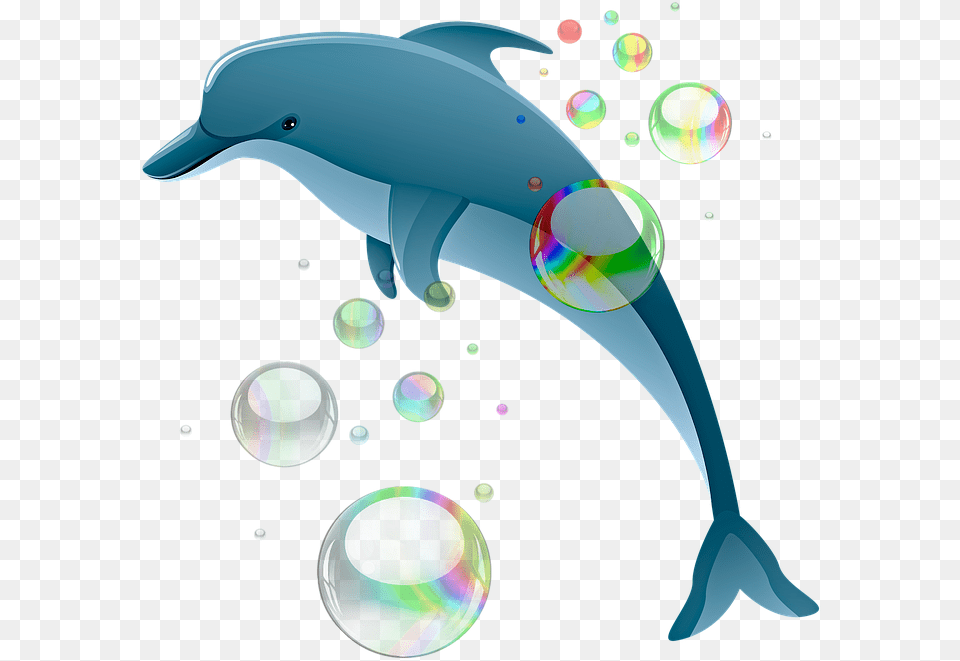 Dolphin Bubbles Ocean Water Sea Cartoon Mermaid Background Dolphin Clipart, Animal, Mammal, Sea Life Free Transparent Png