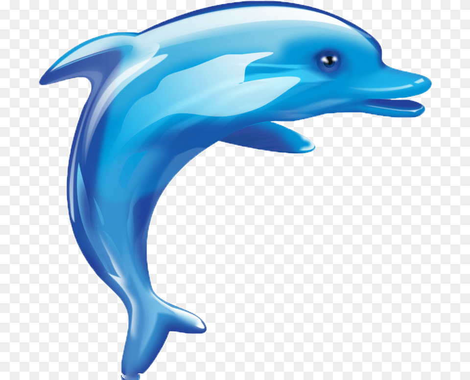 Dolphin Cartoon Cuteness, Animal, Mammal, Sea Life, Fish Png